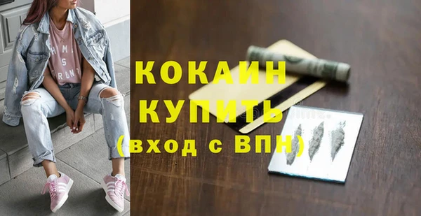 сатива Карпинск