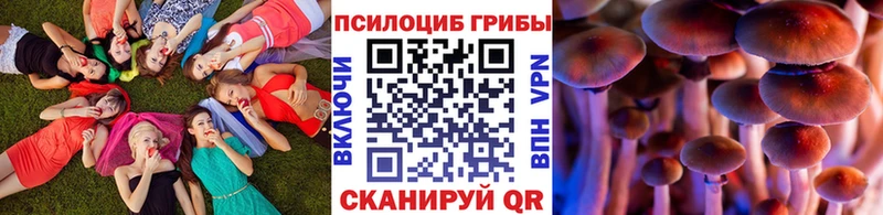 где можно купить   Адыгейск  shop телеграм  Псилоцибиновые грибы Cubensis 